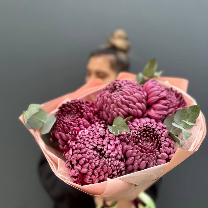 Хризантемы  Бигуди  в Хосте и Кудепсте