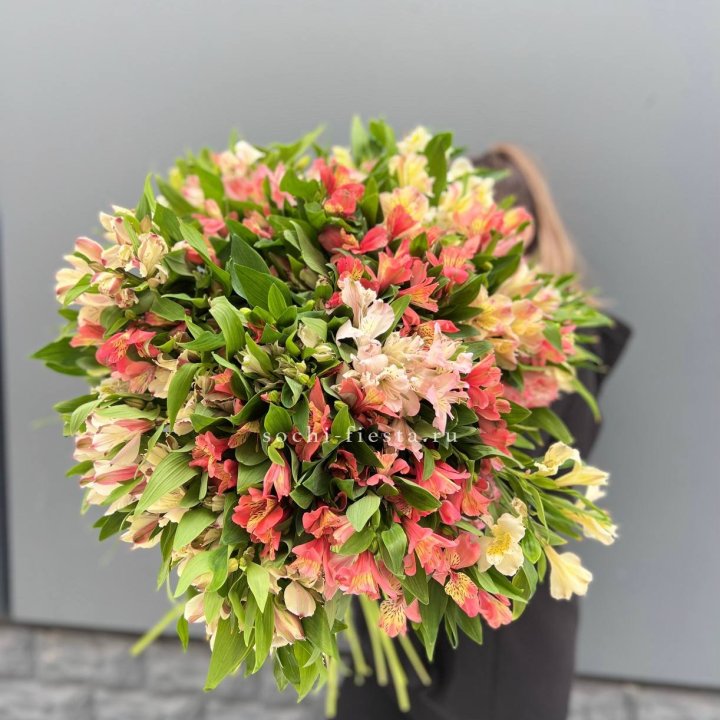 51 альстромерия в Хосте и Кудепсте