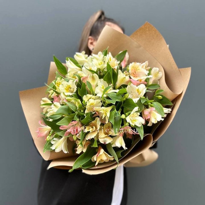 Rainbow L в Хосте и Кудепсте