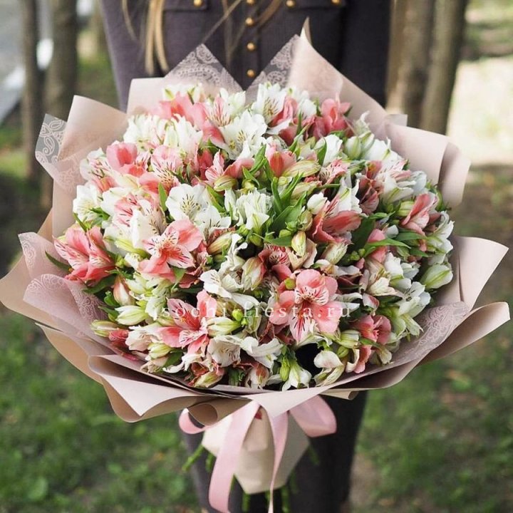 Букет альстромерий Wow в Хосте и Кудепсте