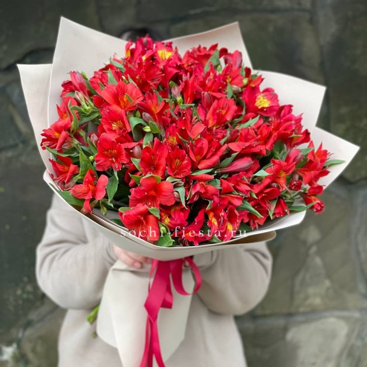 51 альстромерия в Хосте и Кудепсте