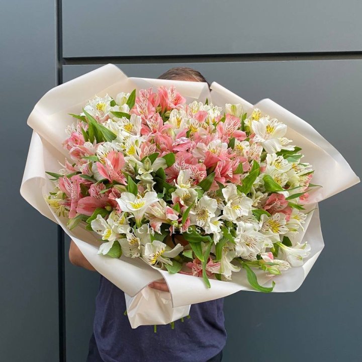 39 альстромерий в Хосте и Кудепсте