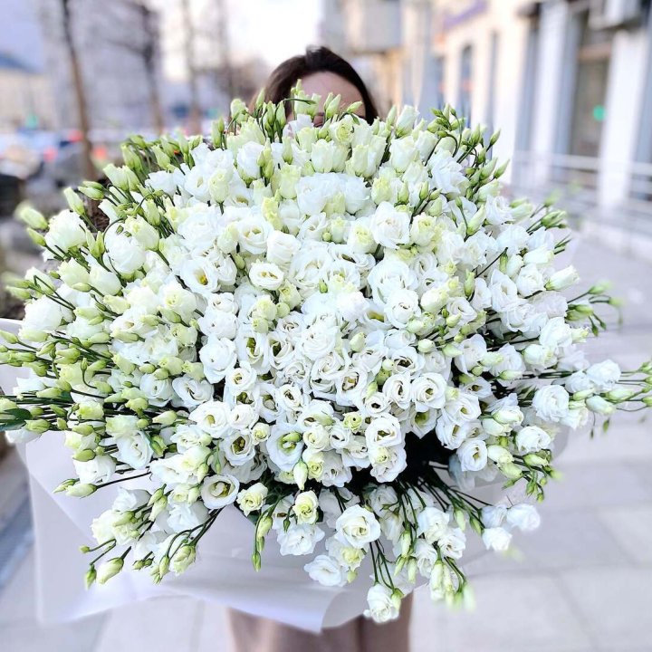 101 белая эустома в Хосте и Кудепсте