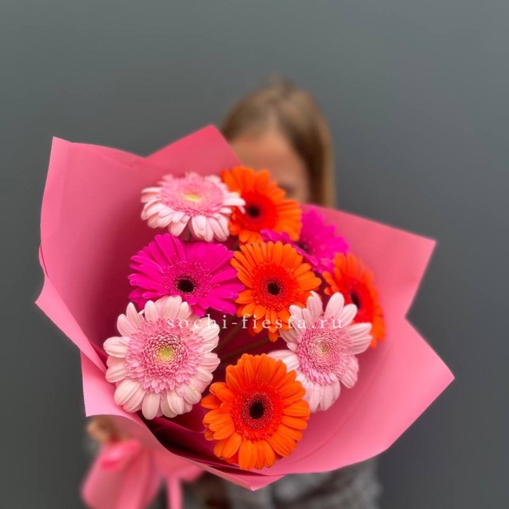 Краски в Хосте и Кудепсте