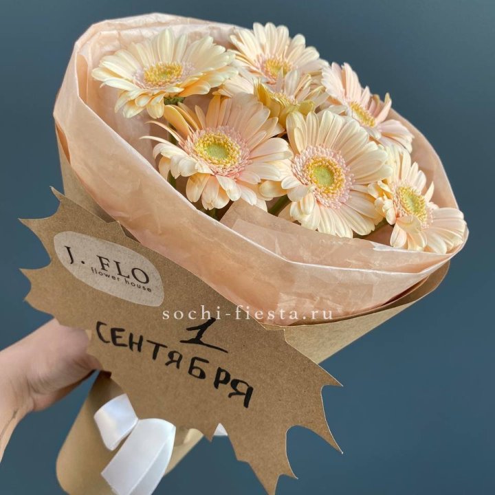 Букет гербер к 1 сентября в Хосте и Кудепсте