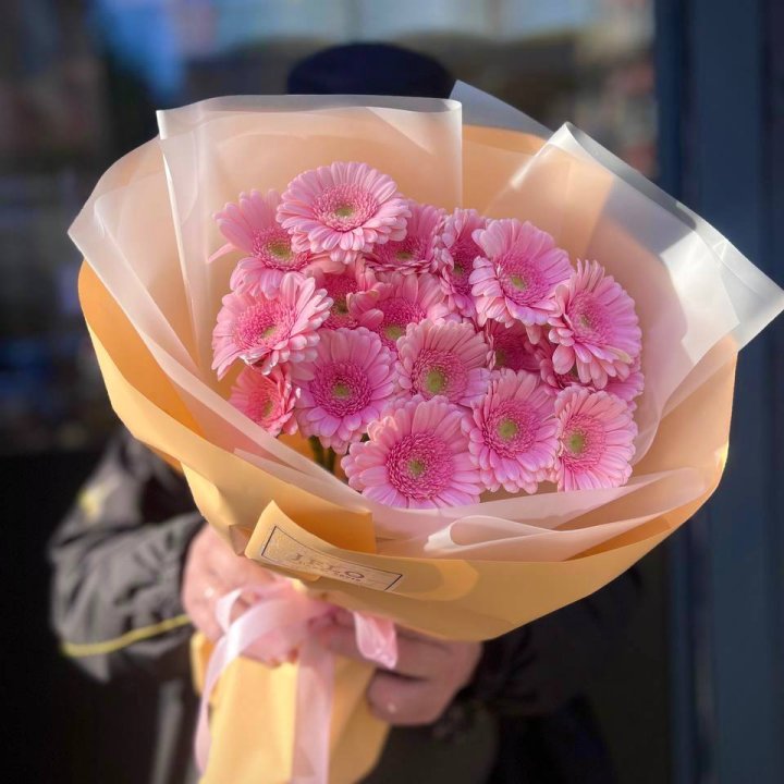 17 розовых гербер  в Хосте и Кудепсте