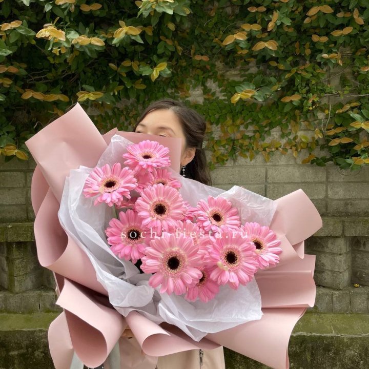 13 розовых гербер в Хосте и Кудепсте