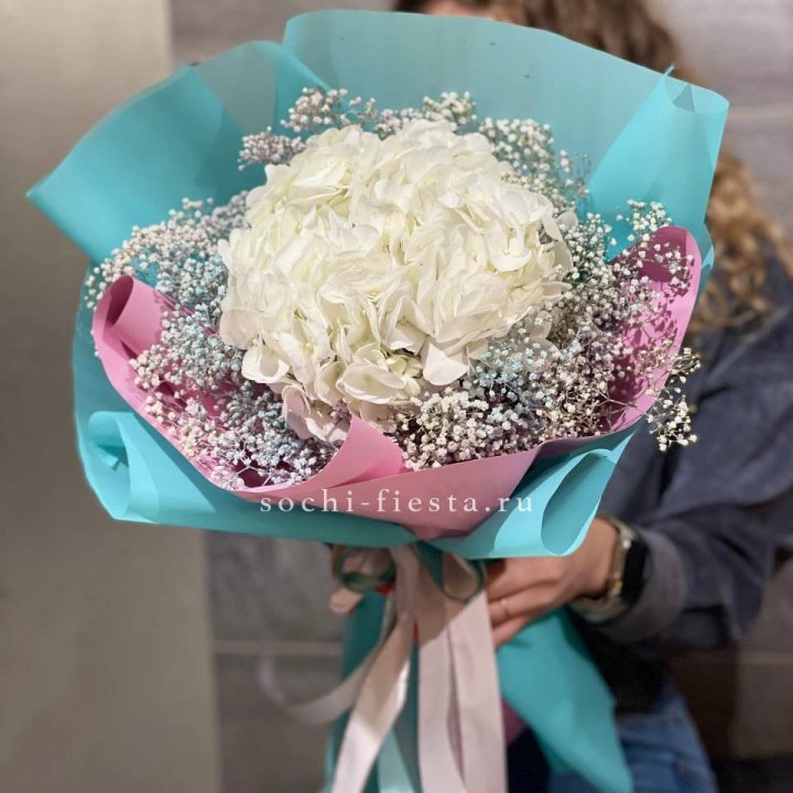 Гортензия "Rainbow" в Хосте и Кудепсте