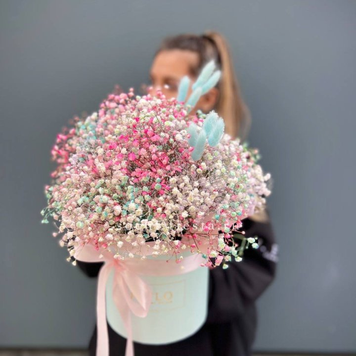 9 Радужных гипсофилы в шляпной коробке в Хосте и Кудепсте