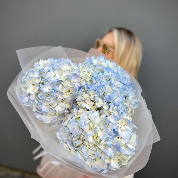 Букет гортензий "Blue" в Хосте и Кудепсте