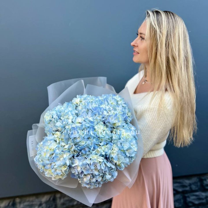 7 голубых гортензий в Хосте и Кудепсте