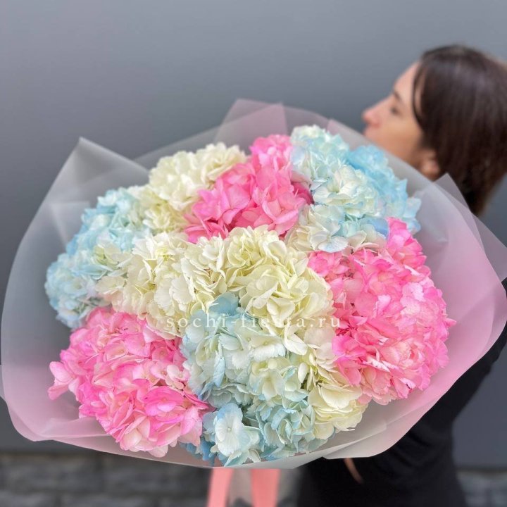 9 гортензий микс в Хосте и Кудепсте