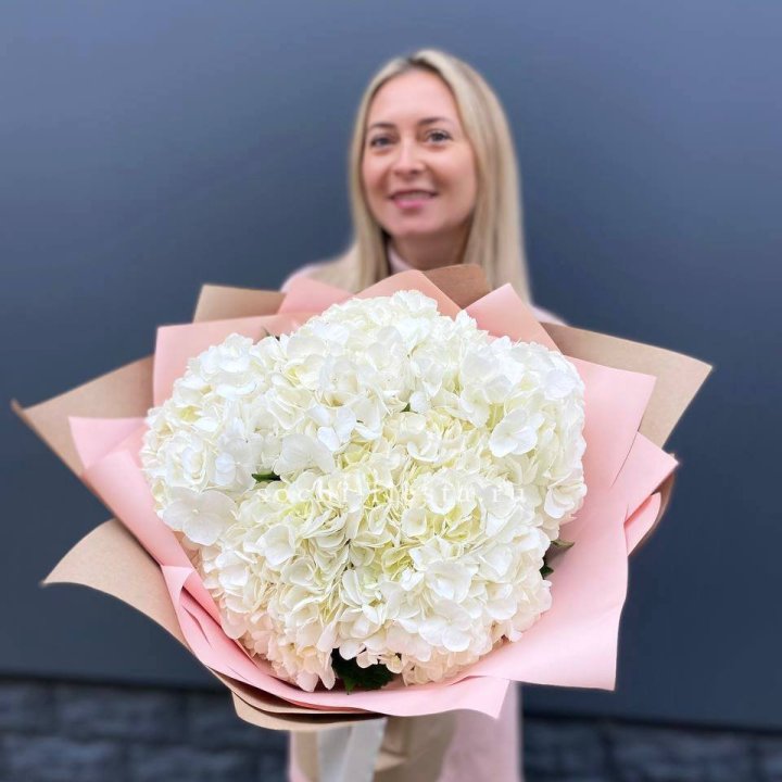 Гортензия Flakes в Хосте и Кудепсте