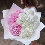 Заказать ГОРТЕНЗИИ в Хосте и Кудепсте с доставкой и по самым низким ценам