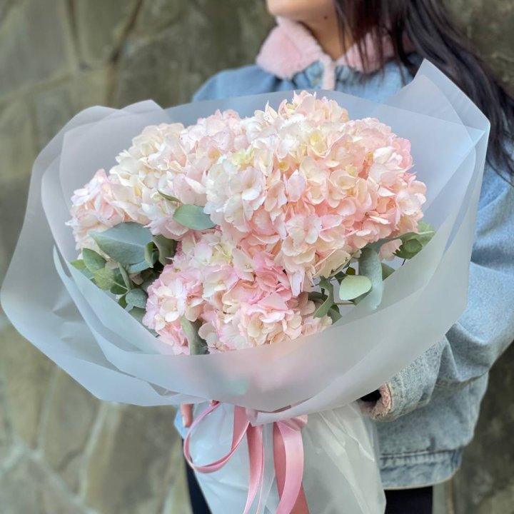 5 розовых гортензий в Хосте и Кудепсте