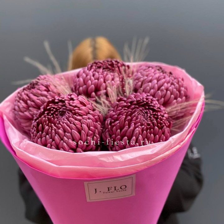 Хризантемы  Бигуди с стифой в Хосте и Кудепсте