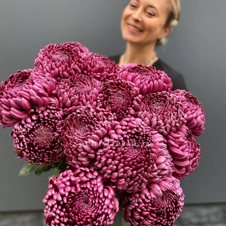 Охапка хризантем Бигуди в Хосте и Кудепсте