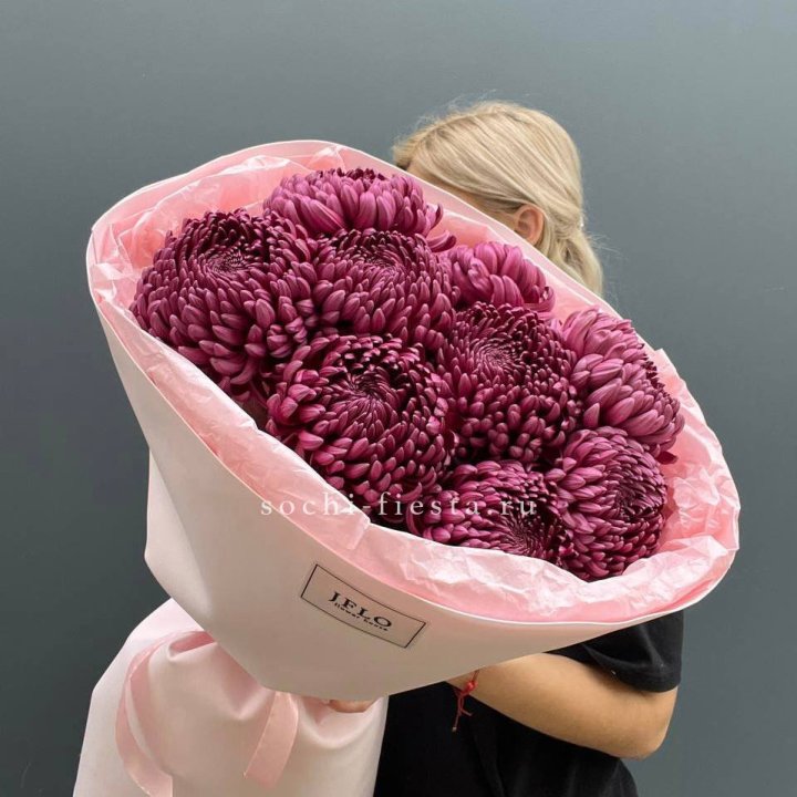 9 хризантем бигуди в Хосте и Кудепсте