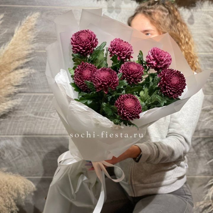 Хризантемы Бигуди в Хосте и Кудепсте