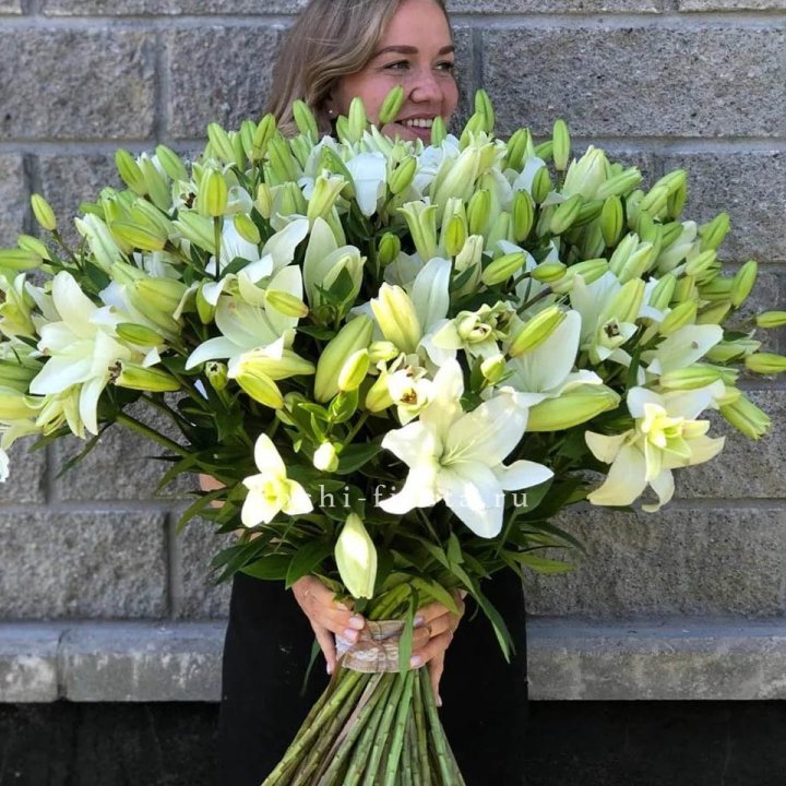 51 лилия в Хосте и Кудепсте