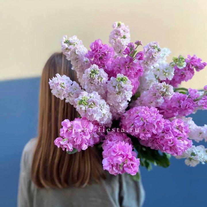 Охапка Маттиолы в Хосте и Кудепсте