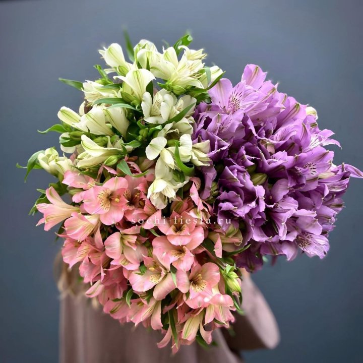 Охапка Альстромерии в Хосте и Кудепсте