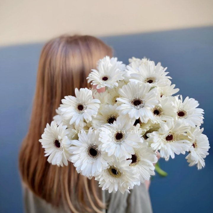 Охапка Гербер в Хосте и Кудепсте