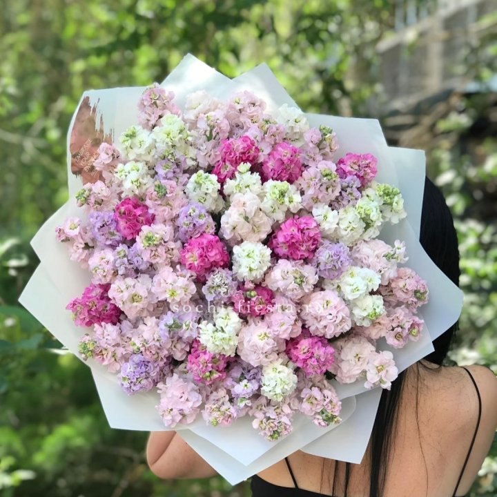 Букет Ароматной Маттиоллы №3 в Хосте и Кудепсте