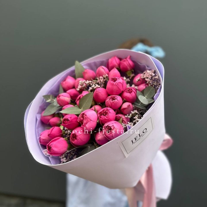 Мисти Баблс  "Cremisi" в Хосте и Кудепсте