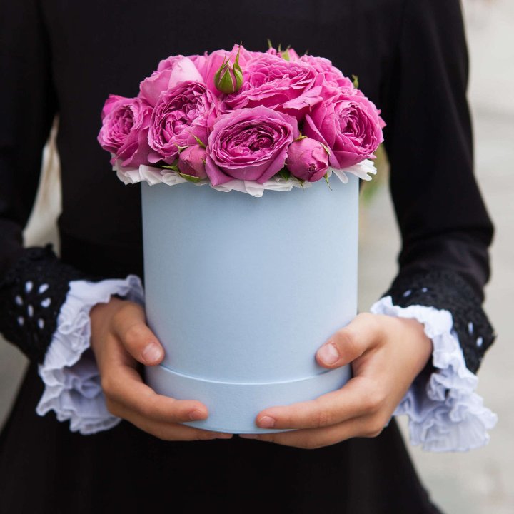 Misty mini box в Хосте и Кудепсте