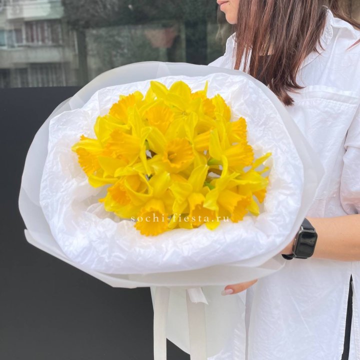 Нарциссы 25 шт в Хосте и Кудепсте