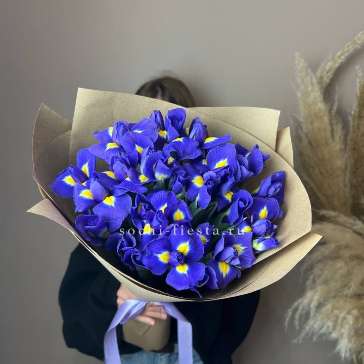 Ирисы в Хосте и Кудепсте