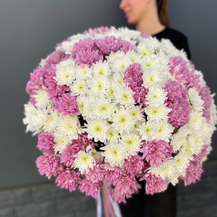  Букет 25 хризантем микс в Хосте и Кудепсте