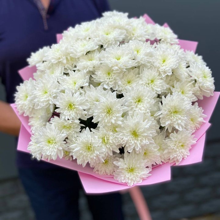  Букет 15 хризантем  в Хосте и Кудепсте