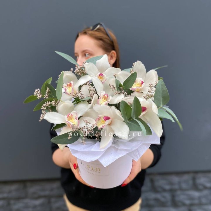 7 орхидей в боксе в Хосте и Кудепсте