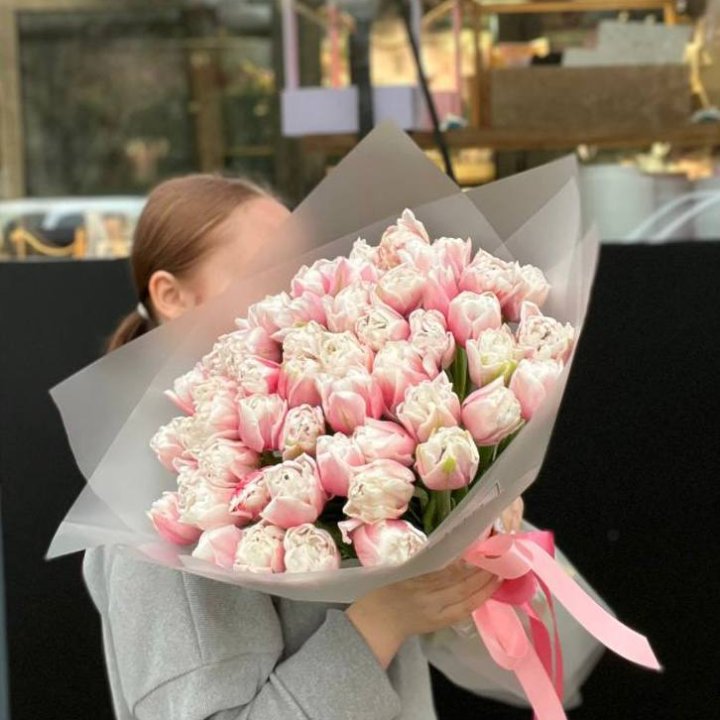 51 нежный тюльпан в Хосте и Кудепсте