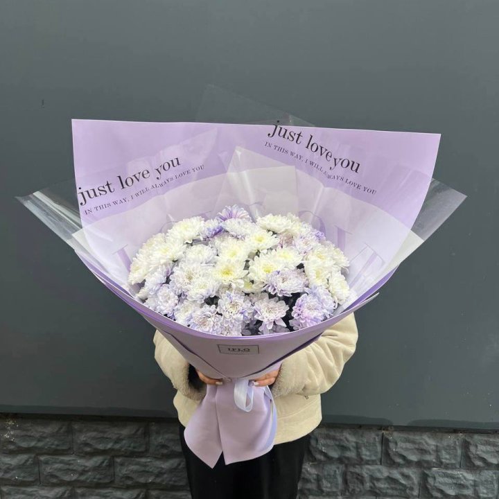 9 воздушных хризантем в Хосте и Кудепсте