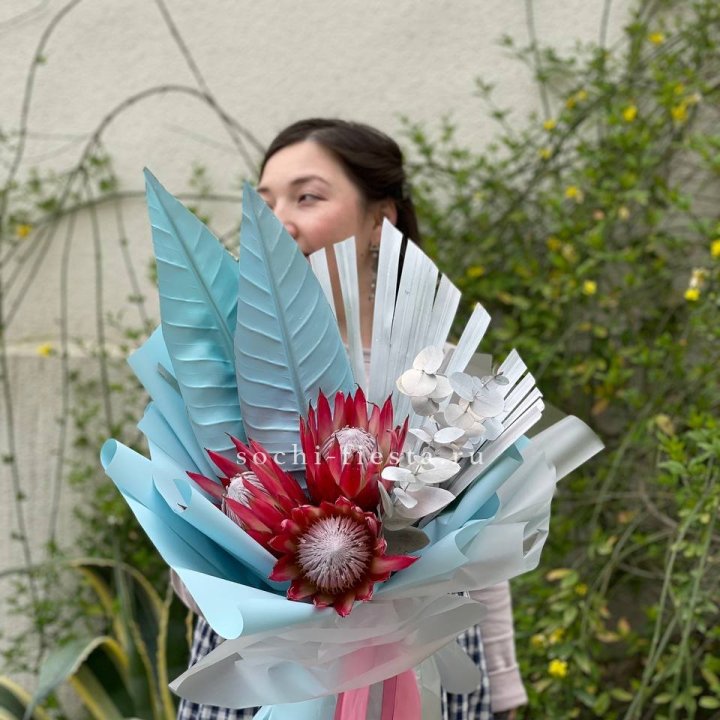 Букет из протеи Клеопатра 2 в Хосте и Кудепсте