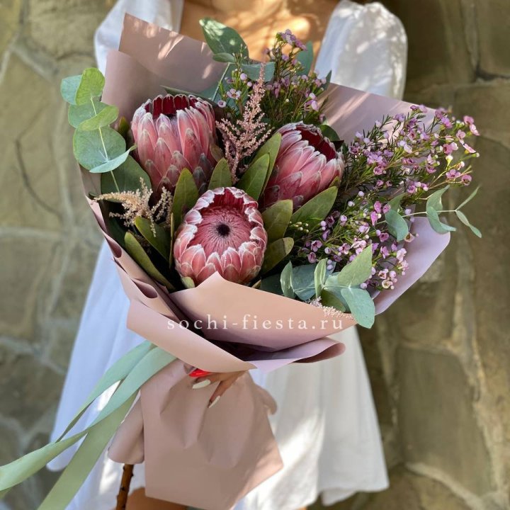 Букет из протеи Клеопатра  в Хосте и Кудепсте