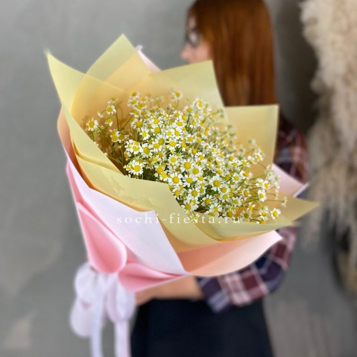 Букет ромашек S в Хосте и Кудепсте