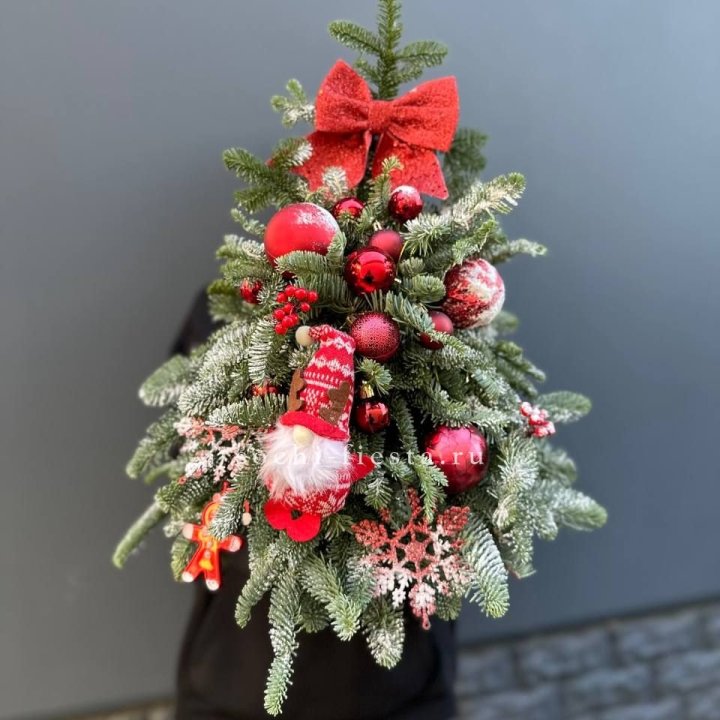 Новогодняя елочка "Red" в Хосте и Кудепсте