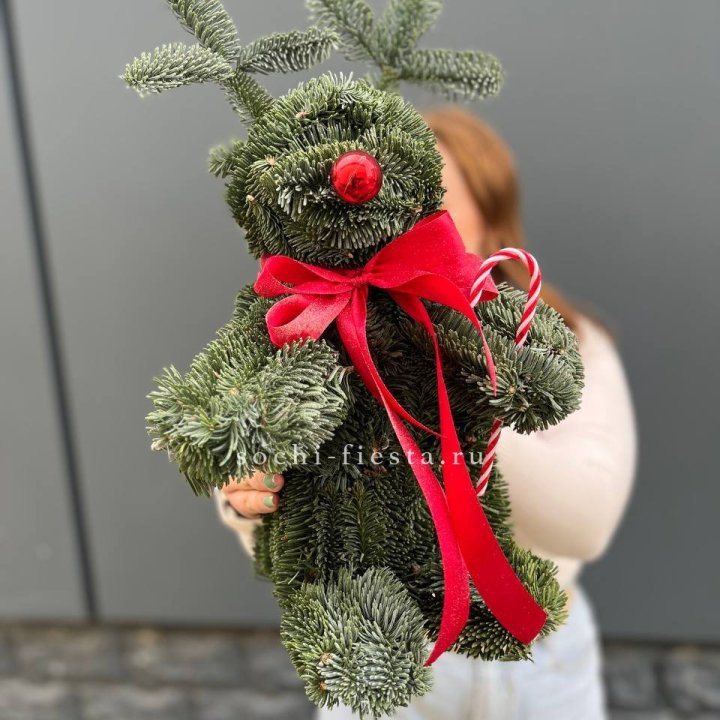 "Олень" из нобилиса в Хосте и Кудепсте