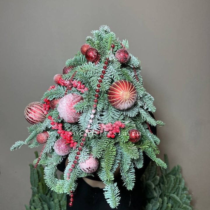 Ёлка красная в Хосте и Кудепсте