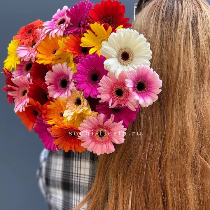 Охапка Гербер Разноцветных в Хосте и Кудепсте