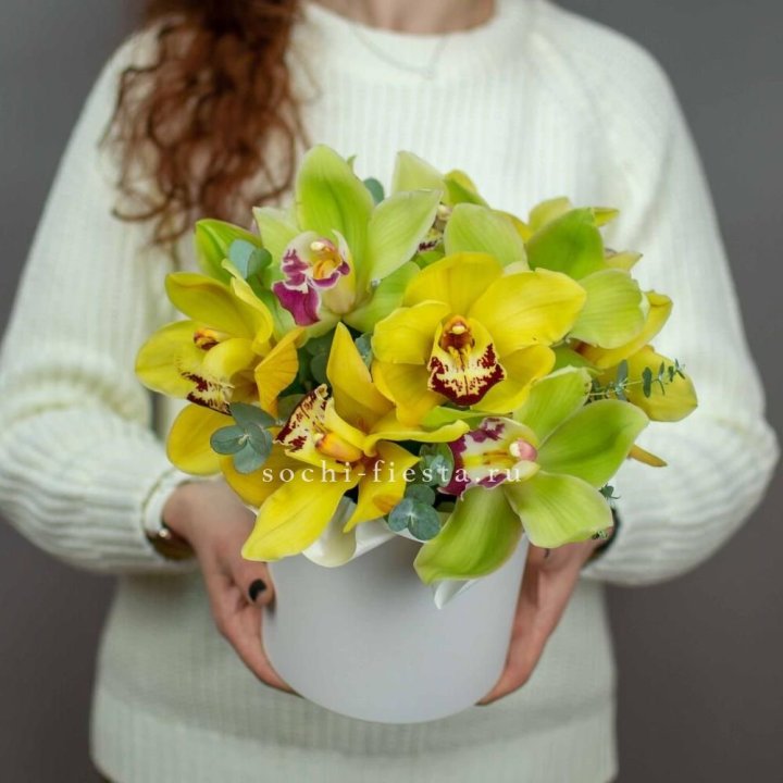 Бокс с орхидей №1 в Хосте и Кудепсте