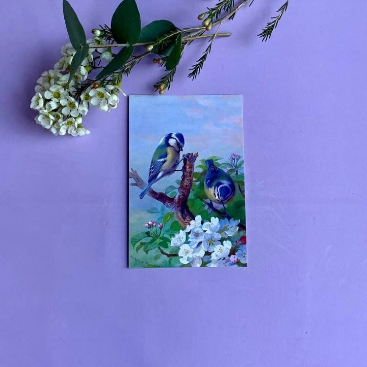 Открытка к букету "Birds" в Хосте и Кудепсте