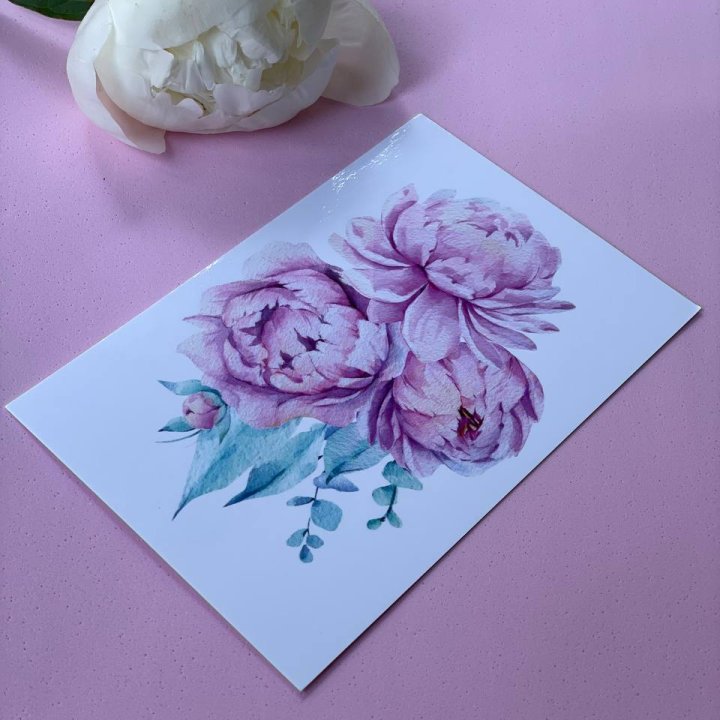 Открытка к букету "Peony" в Хосте и Кудепсте