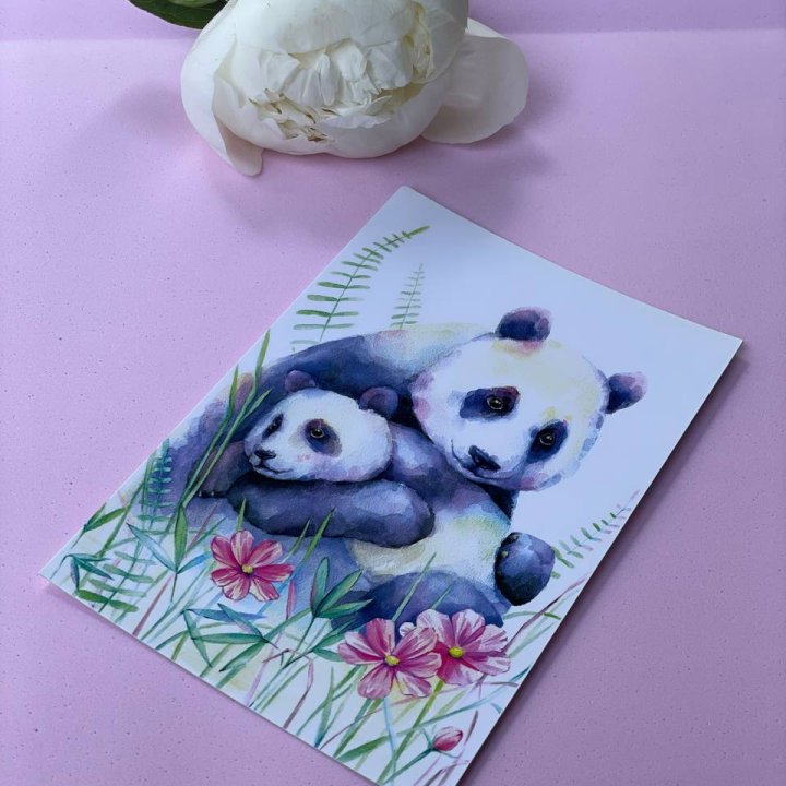 Открытка к букету "Объятие Панды" в Хосте и Кудепсте