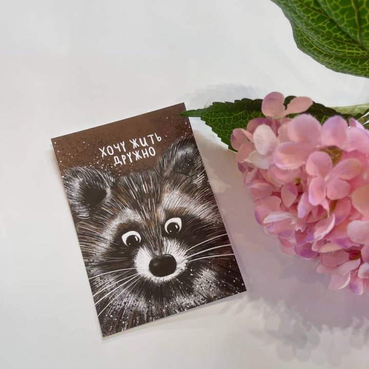 Открытка к букету "Енотик" в Хосте и Кудепсте