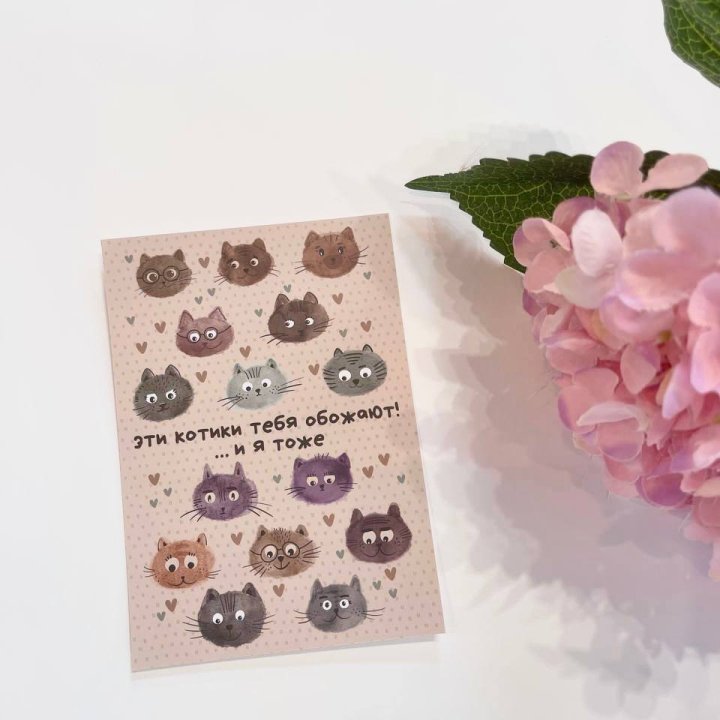 Открытка к букету "Котики" в Хосте и Кудепсте